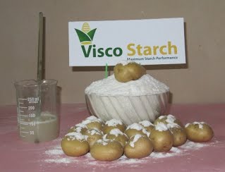 Pregelatinized Potato Starch, Briquette Binder, Pregel Starch, potato starch suppliers, starch manufacturers
